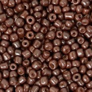 Seed beads 8/0 (3mm) Charlton brown